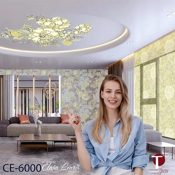 Ceiling Wall Design Model 6000