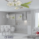 Ceiling Wall Design Model 6002