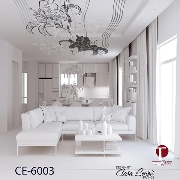 Ceiling Wall Design Model 6003