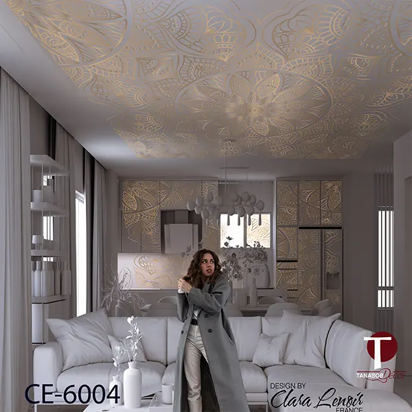 Ceiling Wall Design Model 6004