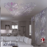 Ceiling Wall Design Model 6005