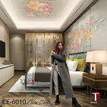 Ceiling Wall Design Model 6010