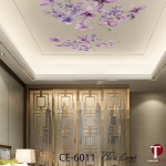 Ceiling Wall Design Model 6011