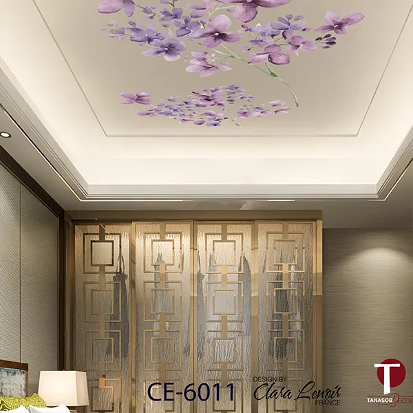 Ceiling Wall Design Model 6011