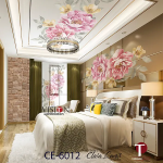 Ceiling Wall Design Model 6012
