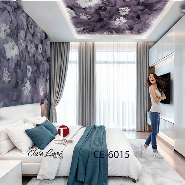Ceiling Wall Design Model 6015