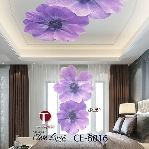 Ceiling Wall Design Model 6016