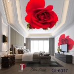 Ceiling Wall Design Model 6017