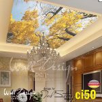 Ceiling Wall Design Model ci 50
