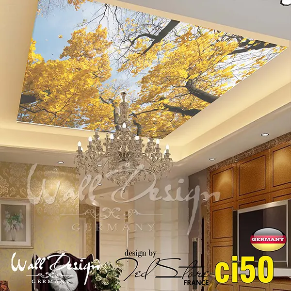 Ceiling Wall Design Model ci 50