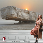 Nature Wall Design Model 582