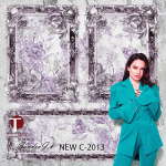 New Classic Wall Design Model 2013