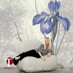 Shabby Chic Wall Design Model 4022