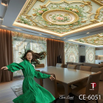Ceiling Wall Design Model 6051