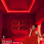Ceiling Wall Design Model 6052