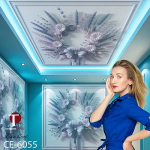 Ceiling Wall Design Model 6055