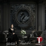 Gothic Styling Wall Design Model S23