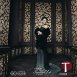 Gothic Styling Wall Design Model S34